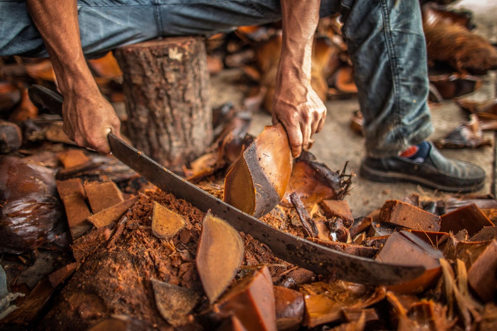 Traditional agave roasting during production